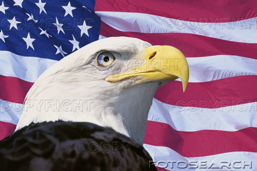 american flag eagle pictures. Sigmund Freud: quot;A fear of