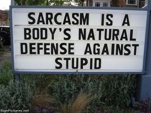 [Image: sarcasm-3.jpg?w=300&h=225]